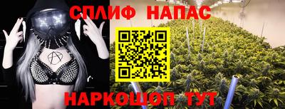 ПСИЛОЦИБИНОВЫЕ ГРИБЫ Канаш