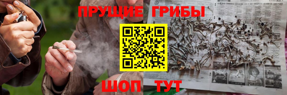 Псилоцибиновые грибы Cubensis Кунгур